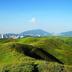 屋外の景色