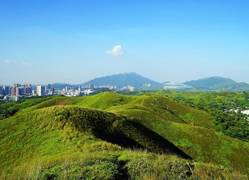 屋外の景色 写真