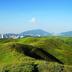屋外の景色