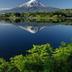 屋外の景色