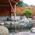 屋外の景色