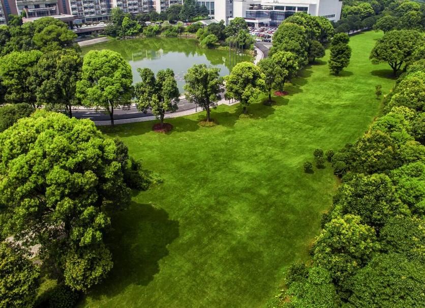 屋外の景色 写真