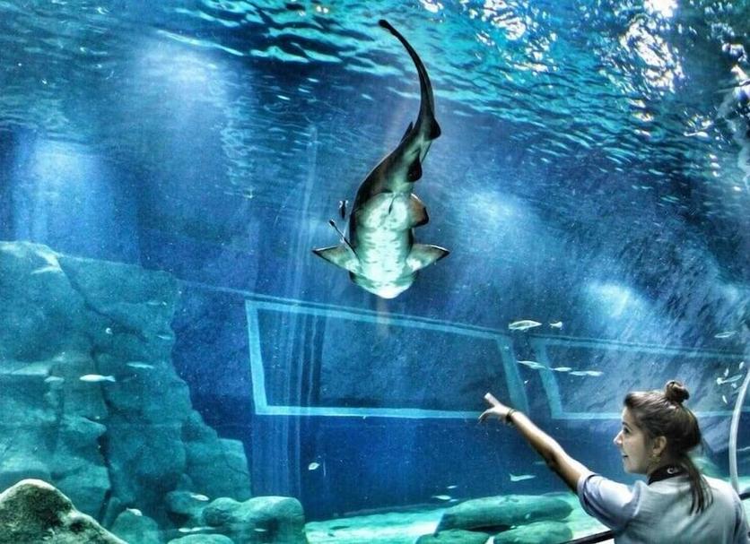 その他 写真