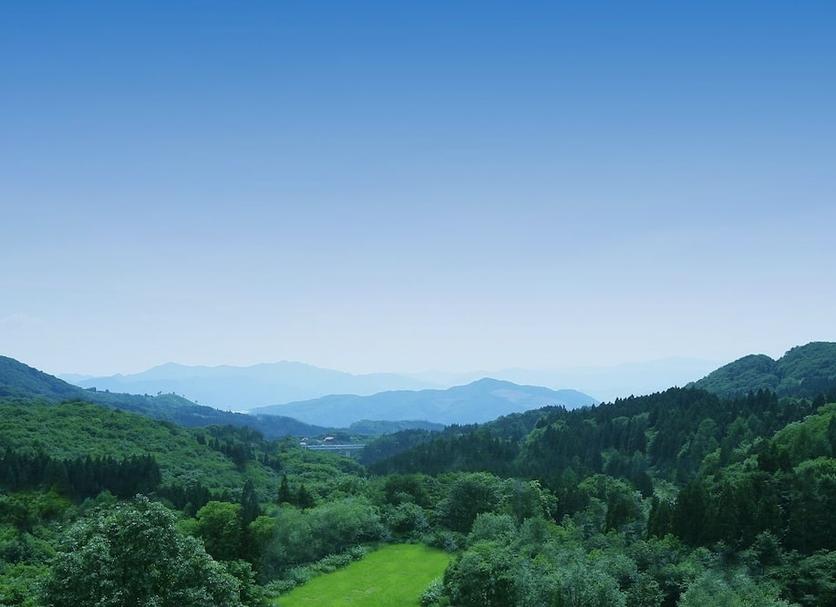 屋外の景色 写真