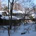 屋外の景色