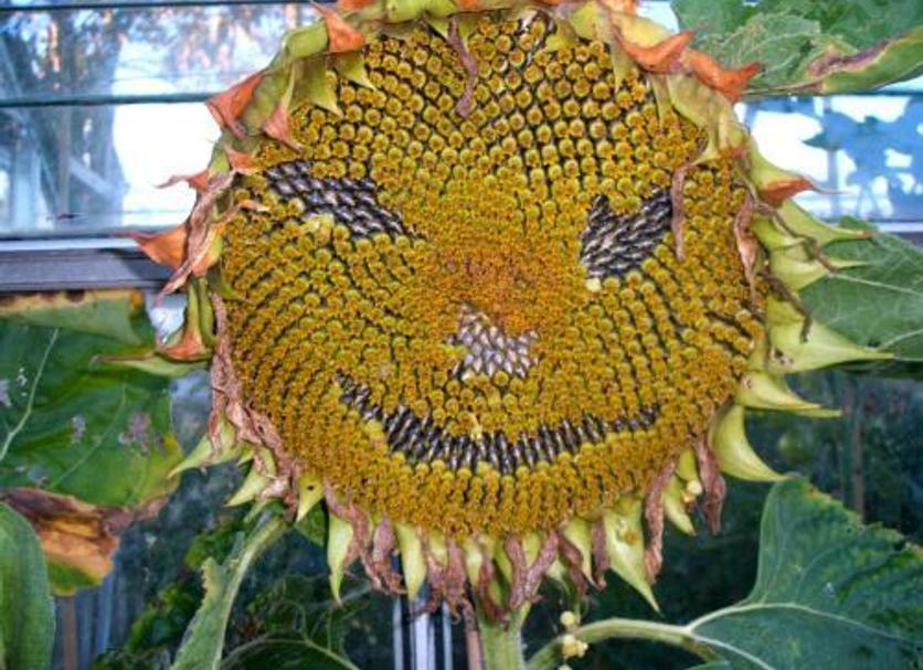 その他 写真