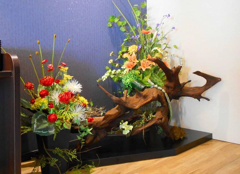 客室の設備 写真