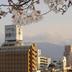 屋外の景色