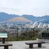 屋外の景色