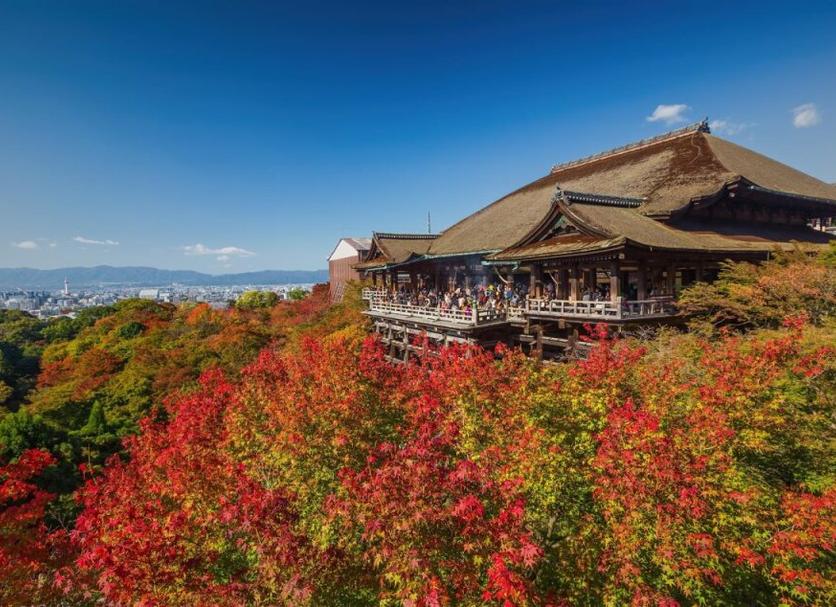 屋外の景色 写真