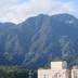 屋外の景色