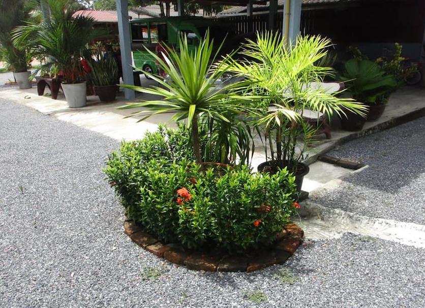 屋外の景色 写真