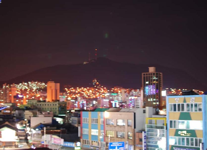 屋外の景色 写真