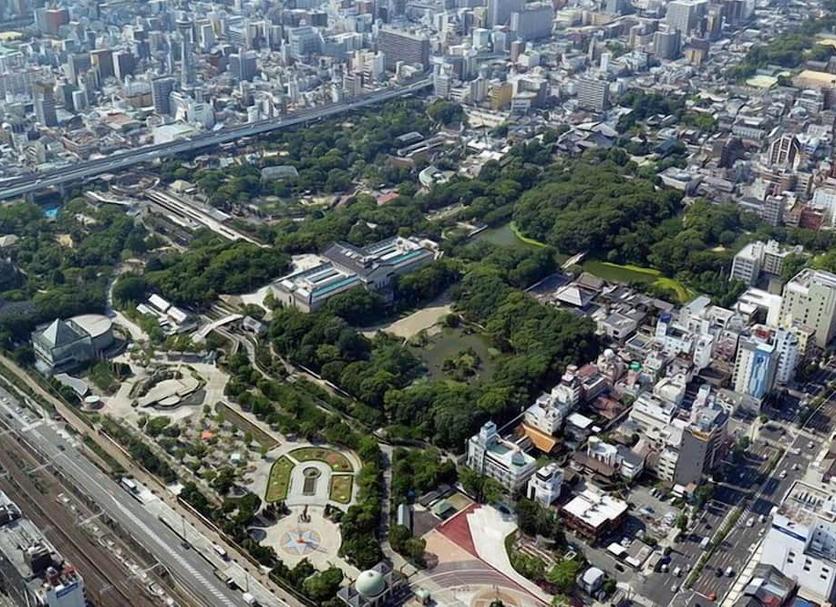 屋外の景色 写真