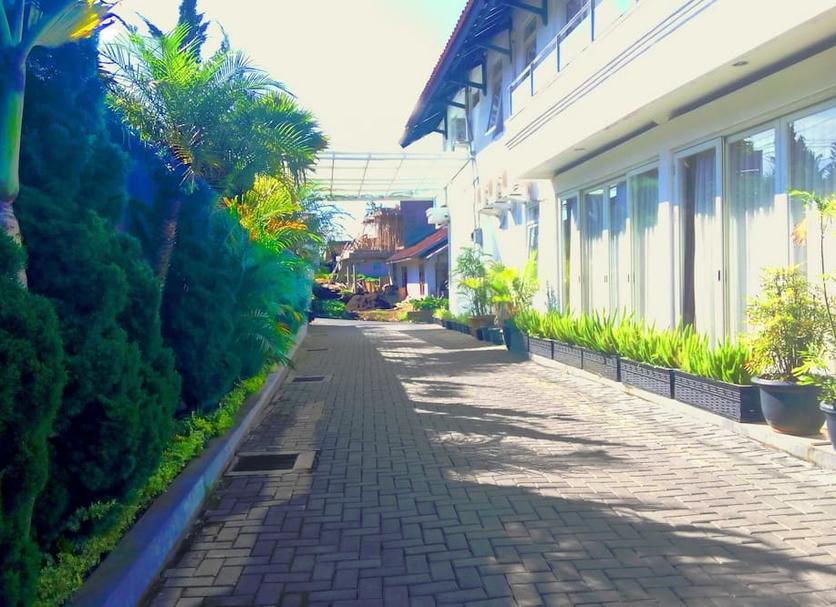 屋外の景色 写真