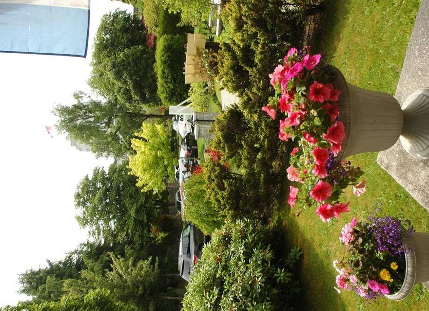屋外の景色 写真
