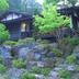 屋外の景色