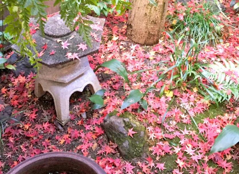 屋外の景色 写真