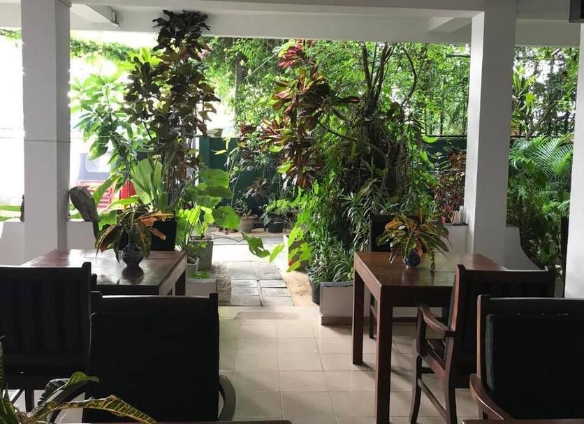 屋外の景色 写真