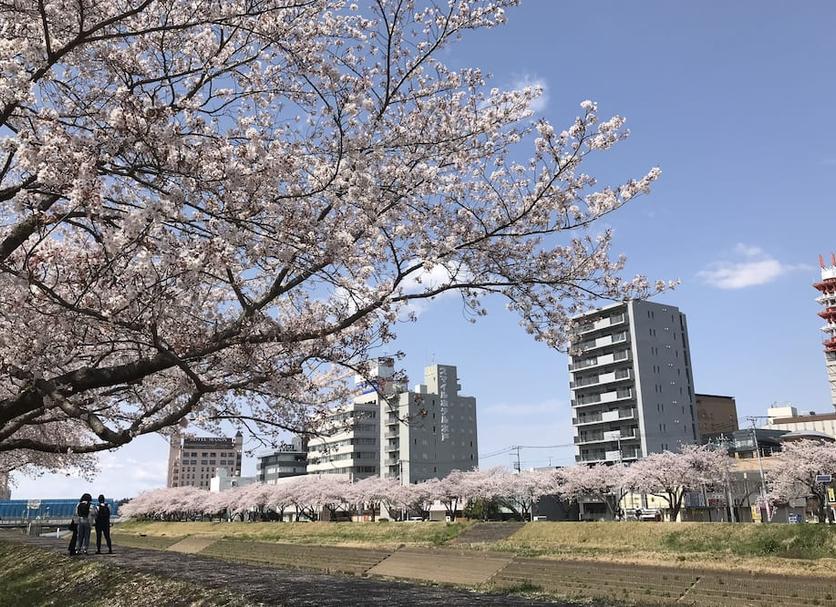 屋外の景色 写真