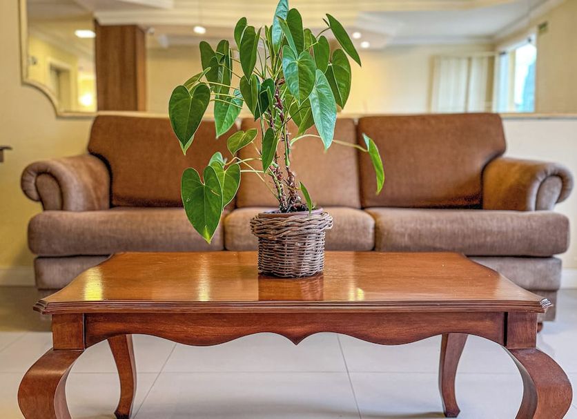 リビングルーム 写真