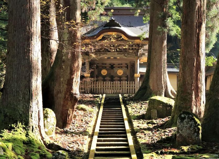 アトラクション 写真