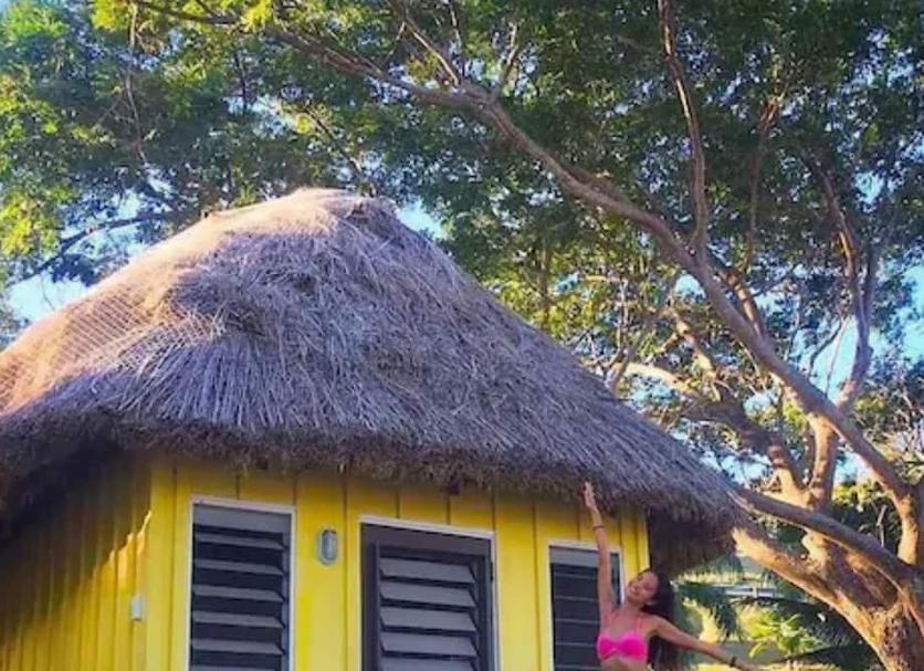 屋外の景色 写真