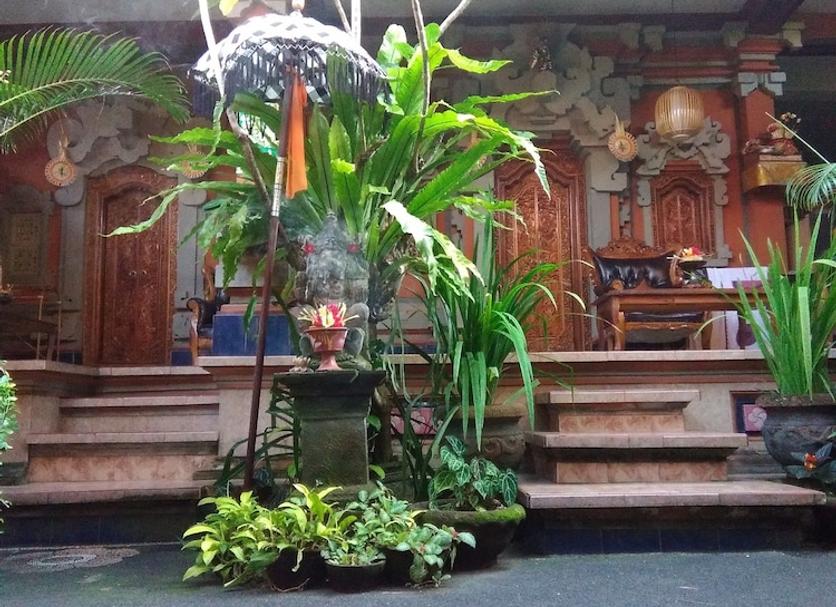 屋外の景色 写真