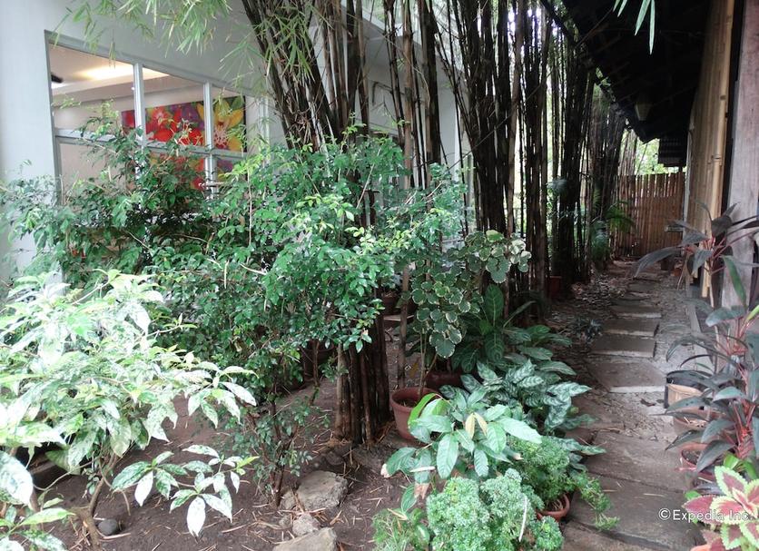屋外の景色 写真