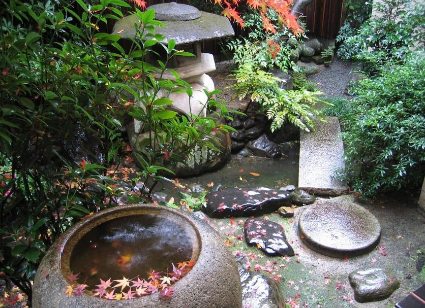 屋外の景色 写真