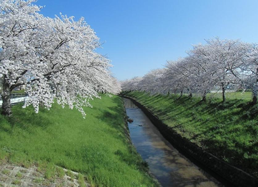 屋外の景色 写真