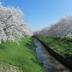 屋外の景色
