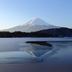 屋外の景色