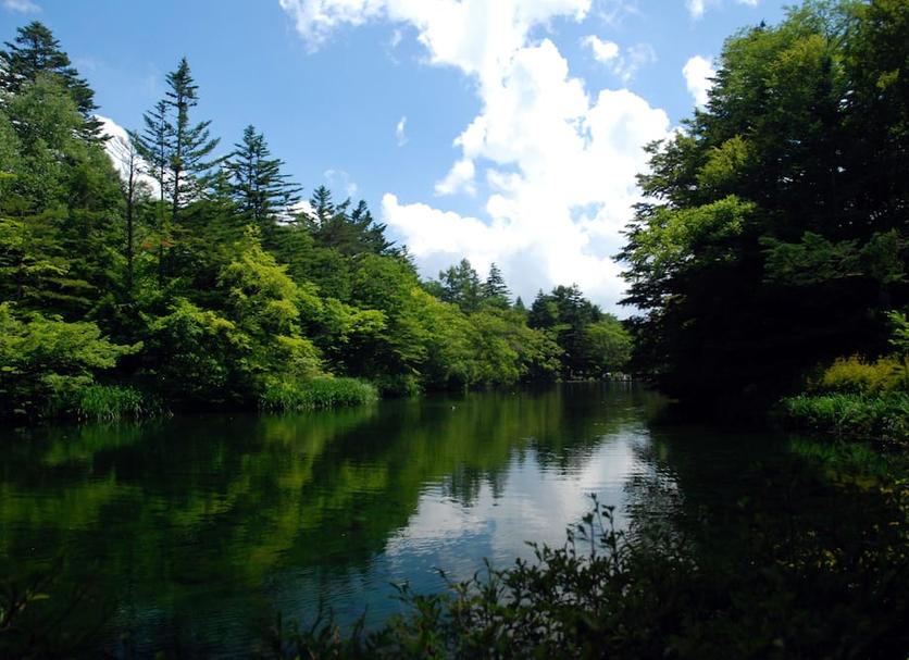 屋外の景色 写真