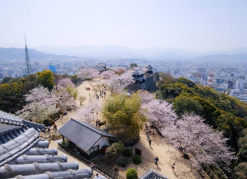 屋外の景色 写真