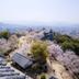 屋外の景色