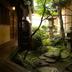 屋外の景色