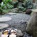 屋外の景色