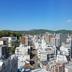 屋外の景色