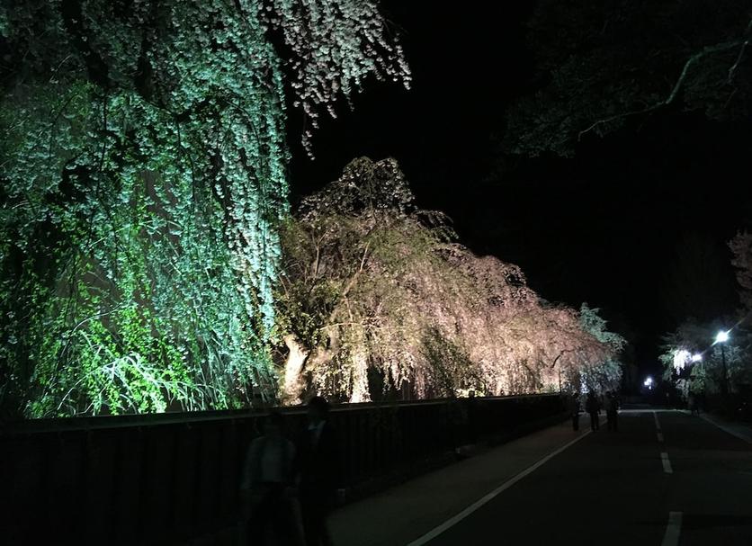 アトラクション 写真