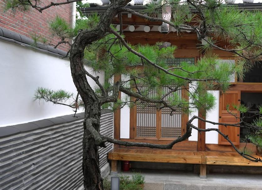 屋外の景色 写真
