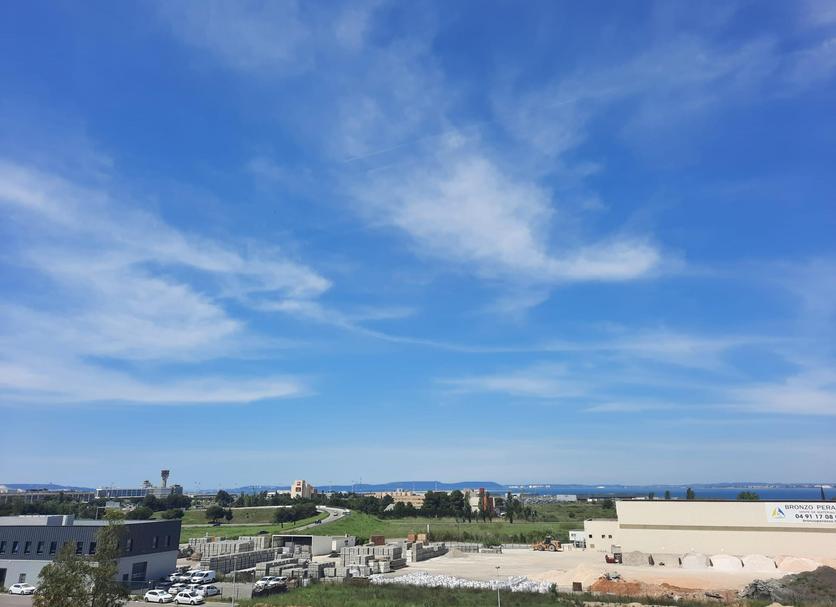 屋外の景色 写真