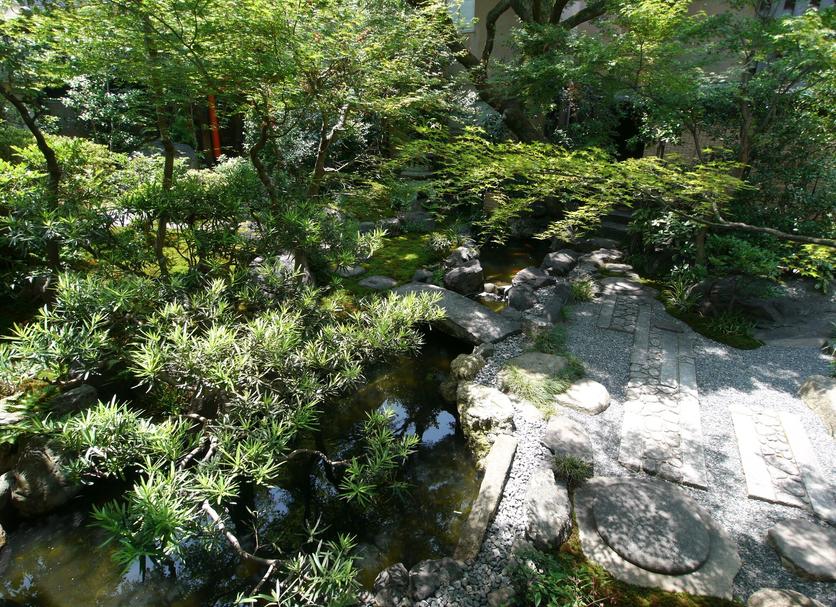 屋外の景色 写真