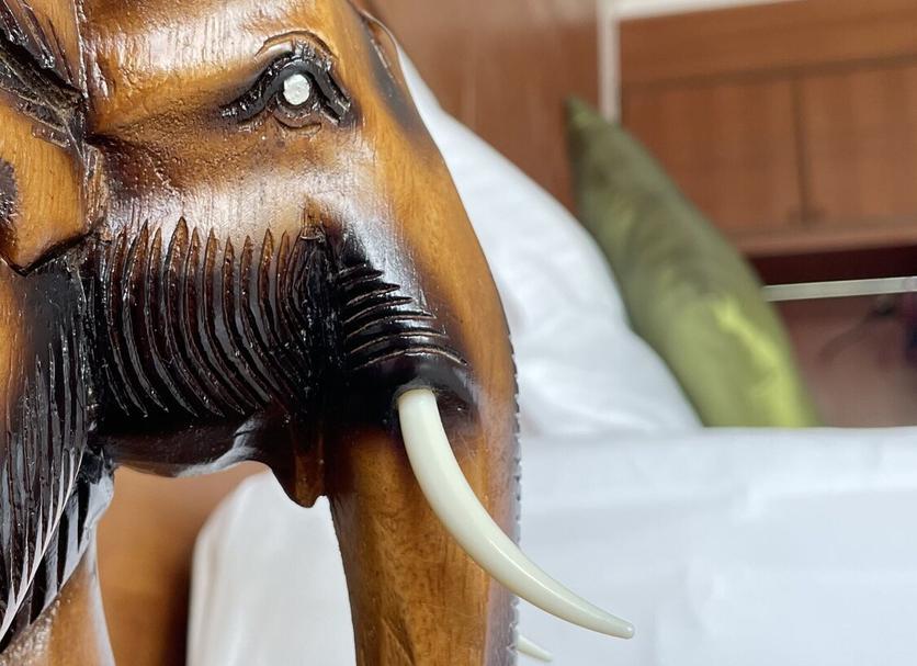 その他 写真