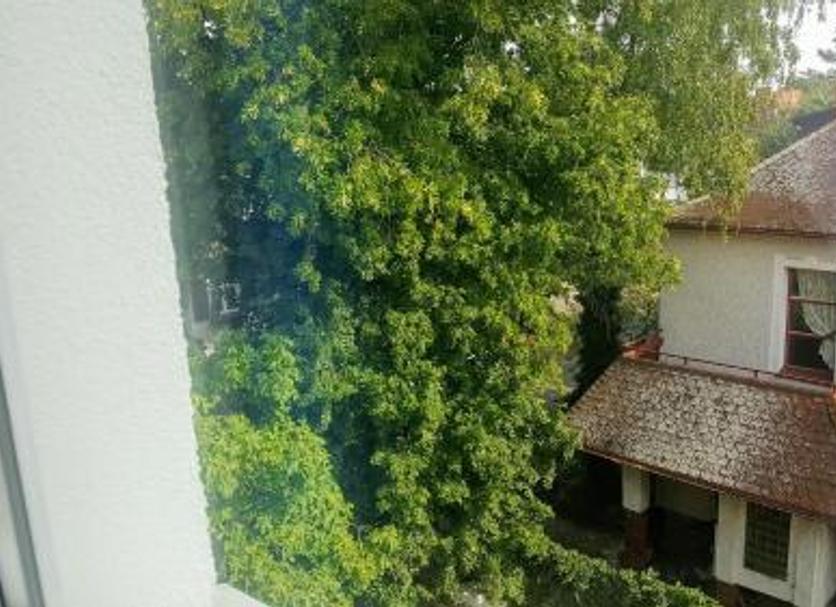 屋外の景色 写真