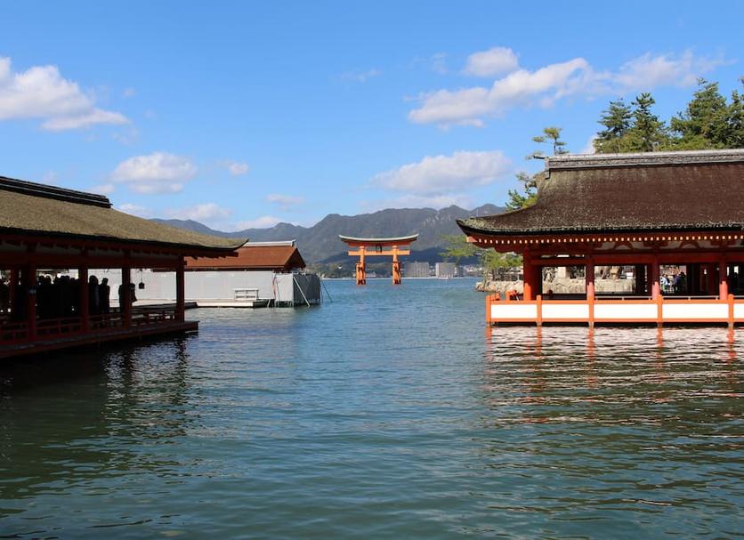 屋外の景色 写真