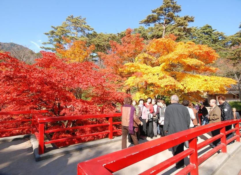その他 写真