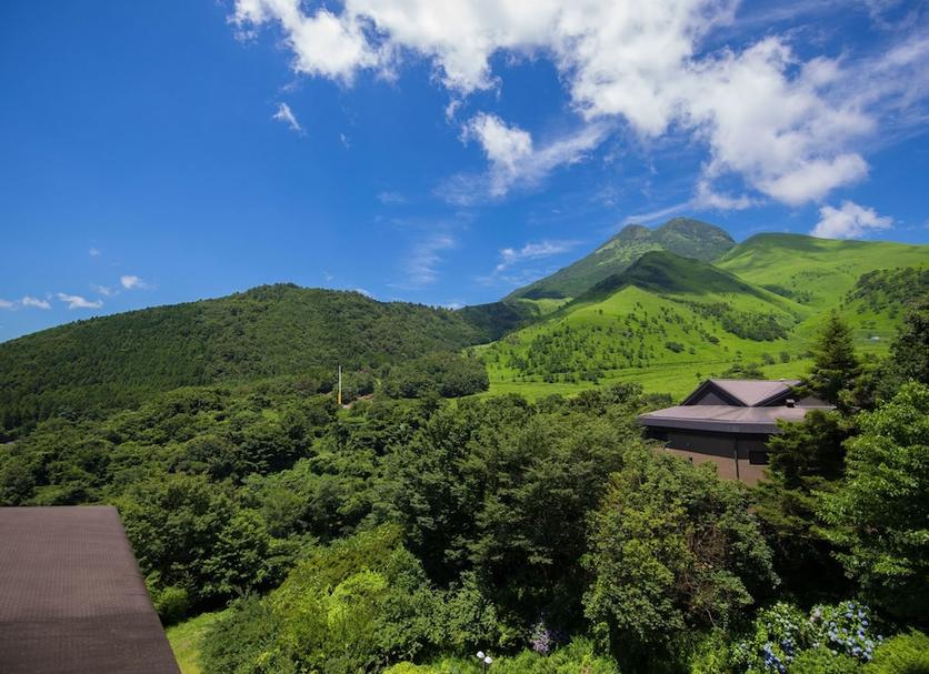 屋外の景色 写真