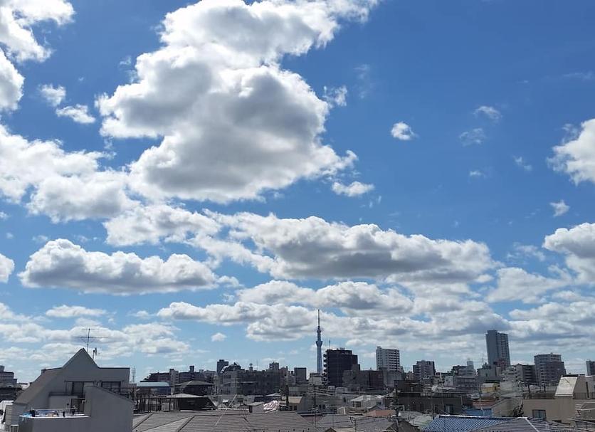 屋外の景色 写真