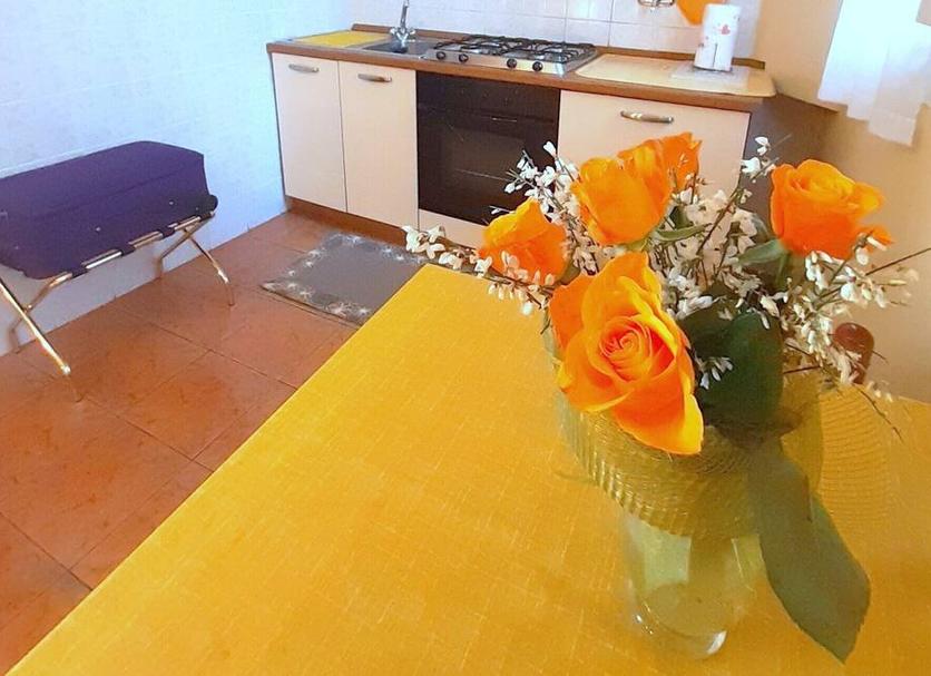 その他 写真